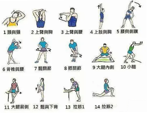 跑步前科学热身是预防损伤的关键步骤。跑步热身动作能激活肌肉
